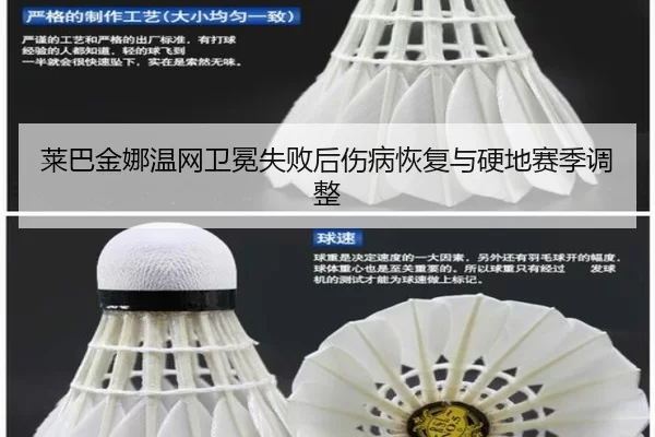 莱巴金娜温网卫冕失败后伤病恢复与硬地赛季调整