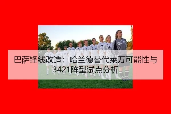 ba-sa-feng-xian-gai-zao-ha-lan-de-ti-dai-lai-wan-ke-neng-xing-yu-zhen-xing-shi-dian-fen-xi-2-421.jpg